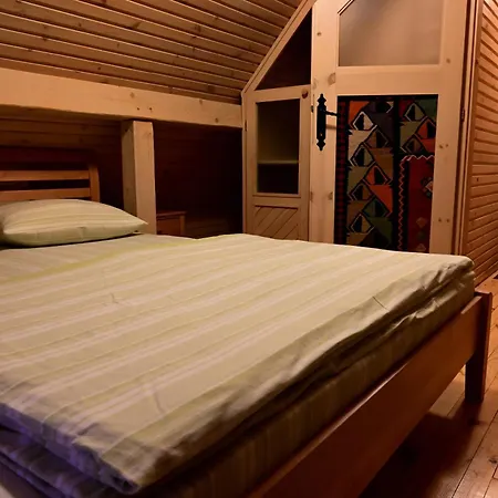 Danica יהורינה